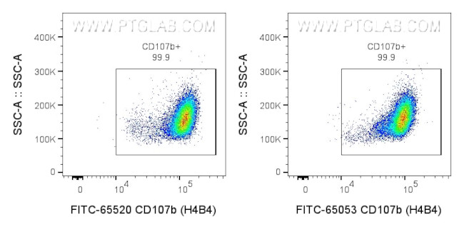 CD107b/LAMP2 Antibody in Flow Cytometry (Flow)