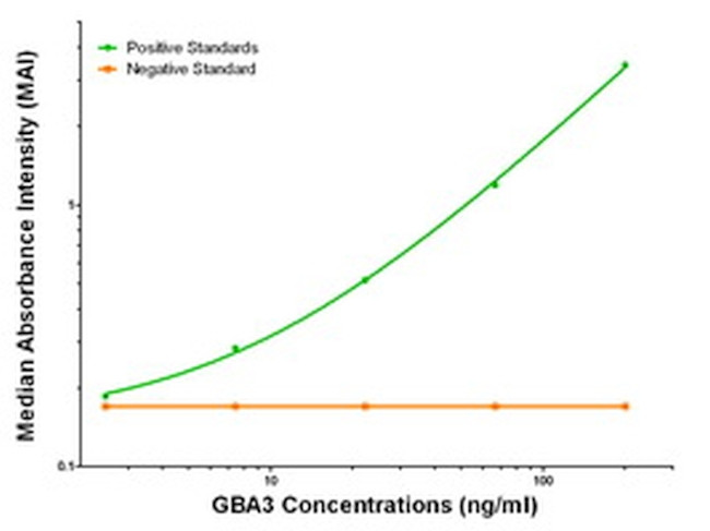 GBA3 Antibody in ELISA (ELISA)