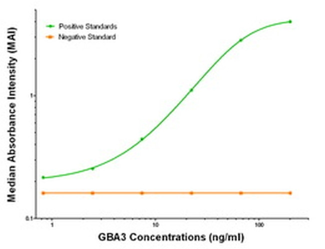 GBA3 Antibody in ELISA (ELISA)
