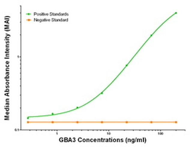 GBA3 Antibody in ELISA (ELISA)