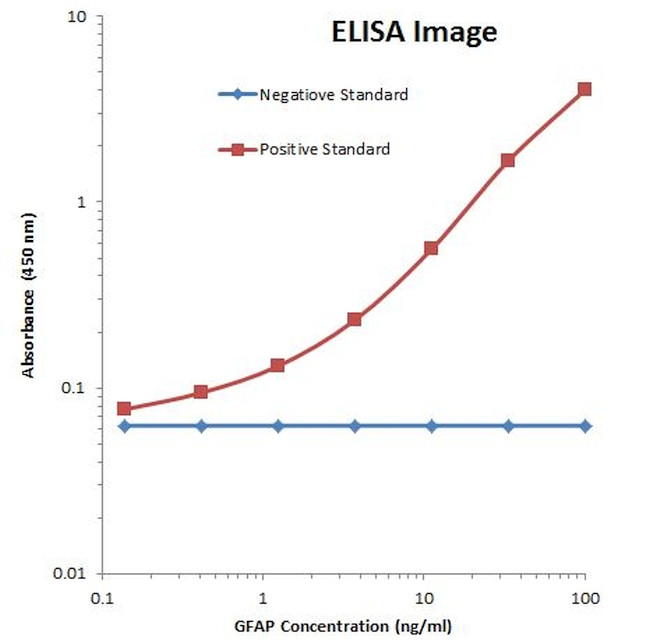 GFAP Antibody in ELISA (ELISA)
