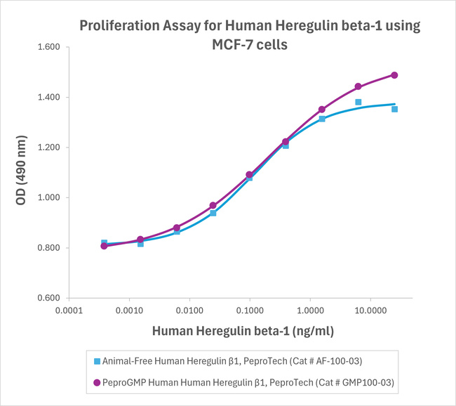 PeproGMP® Human Heregulin beta-1 Protein in Bioactivity (Bioactivity)