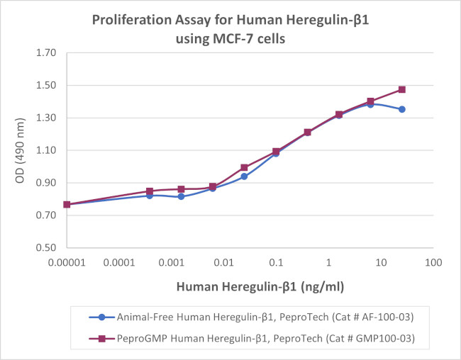 PeproGMP® Human Heregulin beta-1 Protein in Bioactivity (Bioactivity)