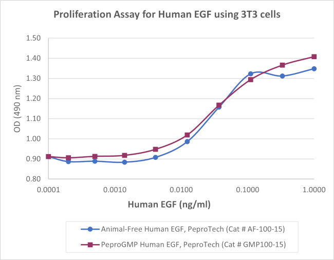 PeproGMP® Human EGF Protein (GMP10015100UG)