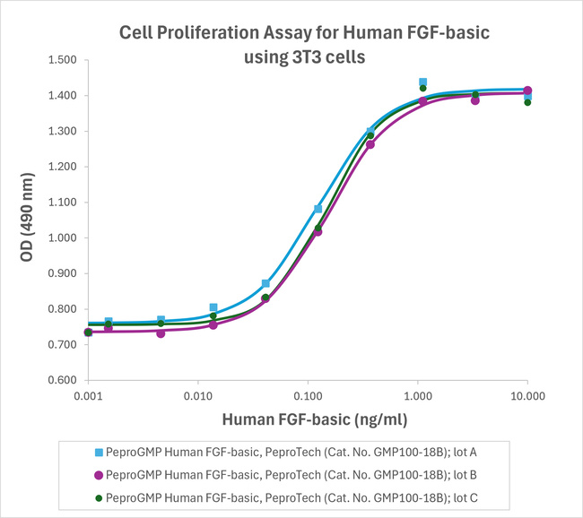 PeproGMP® Human FGF-basic (FGF-2/bFGF) Protein in Bioactivity (Bioactivity)