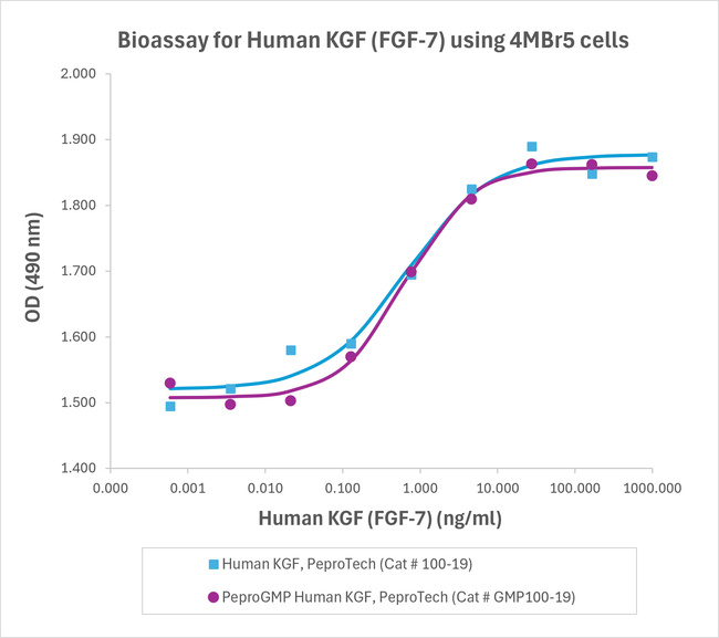 PeproGMP® Human FGF-7 (KGF) Protein in Bioactivity (Bioactivity)