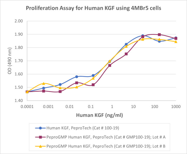 PeproGMP® Human FGF-7 (KGF) Protein in Bioactivity (Bioactivity)