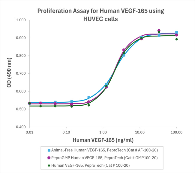 PeproGMP® Human VEGF-165 Protein in Bioactivity (Bioactivity)