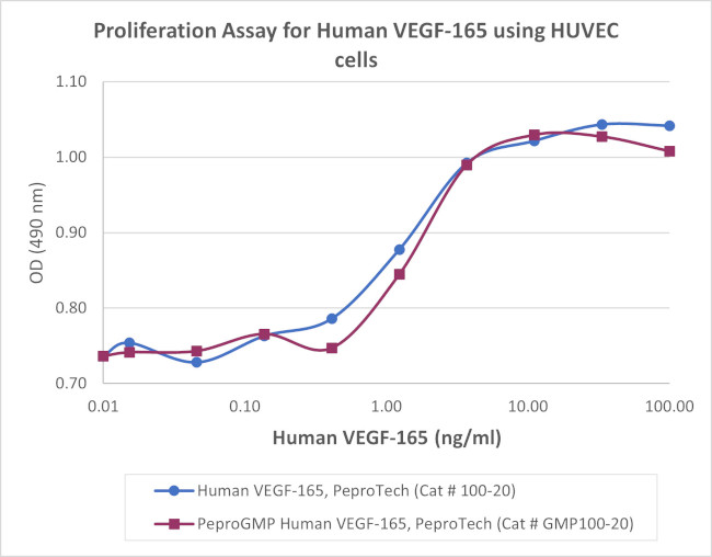 PeproGMP® Human VEGF-165 Protein in Bioactivity (Bioactivity)