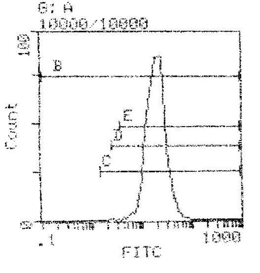 H-2Kb/H2-Db Antibody in Flow Cytometry (Flow)