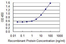 SERPINA3 Antibody in ELISA (ELISA)