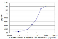 ACTA2 Antibody in ELISA (ELISA)