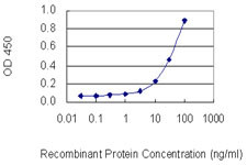 ACTG1 Antibody in ELISA (ELISA)