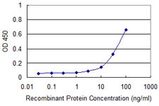 ADK Antibody in ELISA (ELISA)