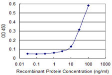 AK1 Antibody in ELISA (ELISA)