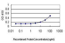 AKT1 Antibody in ELISA (ELISA)