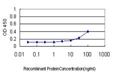 AKT1 Antibody in ELISA (ELISA)