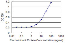ALDH1A1 Antibody in ELISA (ELISA)