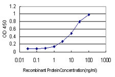 ALDH3B2 Antibody in ELISA (ELISA)