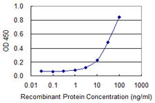 AMY2B Antibody in ELISA (ELISA)