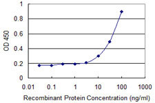 SLC25A5 Antibody in ELISA (ELISA)