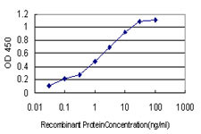 ANXA5 Antibody in ELISA (ELISA)