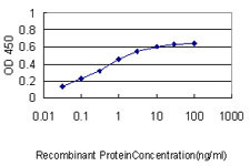 APBB2 Antibody in ELISA (ELISA)