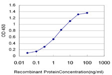 ABCC6 Antibody in ELISA (ELISA)