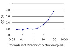 TRIM23 Antibody in ELISA (ELISA)