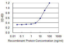 TRIM23 Antibody in ELISA (ELISA)