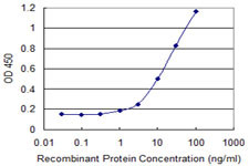 ARHGAP6 Antibody in ELISA (ELISA)