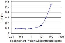 ARHGDIB Antibody in ELISA (ELISA)