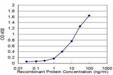 ARNT Antibody in ELISA (ELISA)