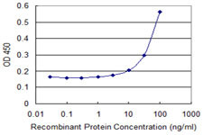 ARR3 Antibody in ELISA (ELISA)