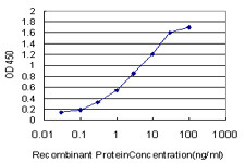 ATOX1 Antibody in ELISA (ELISA)