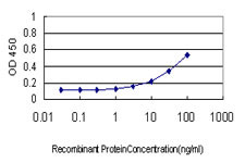 ATP1B3 Antibody in ELISA (ELISA)