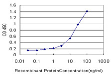 ATP1B3 Antibody in ELISA (ELISA)
