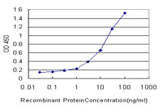 ATP1B3 Antibody in ELISA (ELISA)