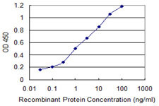 ATP2A1 Antibody in ELISA (ELISA)