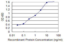 ATP5E Antibody in ELISA (ELISA)