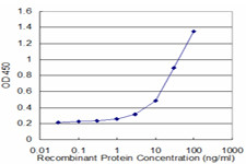 ATP5J Antibody in ELISA (ELISA)