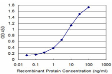 BMP5 Antibody in ELISA (ELISA)