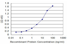 BMP5 Antibody in ELISA (ELISA)