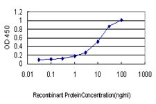 DST Antibody in ELISA (ELISA)