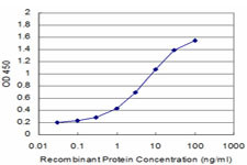 BRAF Antibody in ELISA (ELISA)