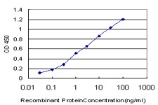 C1QBP Antibody in ELISA (ELISA)