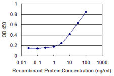 ZNHIT2 Antibody in ELISA (ELISA)