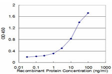 CASR Antibody in ELISA (ELISA)
