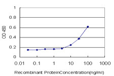 SERPINA6 Antibody in ELISA (ELISA)