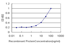 CBR1 Antibody in ELISA (ELISA)